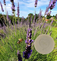 Alpaka Lavendel Seife