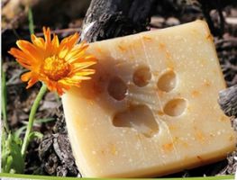 Hundeseife mit Neemöl & Ringelblume