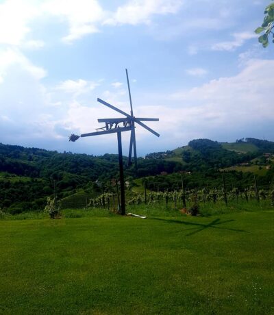 Weinseife Schilcher (Weingut Glirsch Eibiswald) – Bild 4